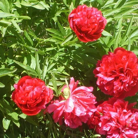 Bed & Breakfast Domaine De Lara